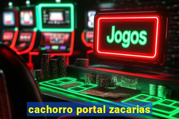 cachorro portal zacarias